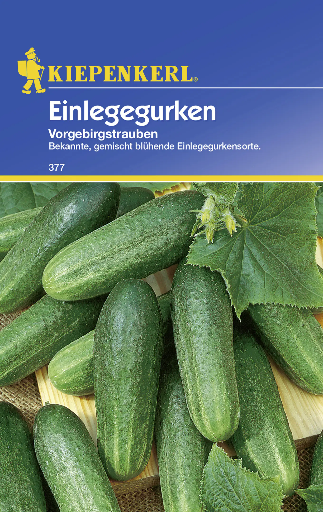 Kiepenkerl Einlegegurke Vorgebirgstrauben Cucumis Sativus Inhalt Ca