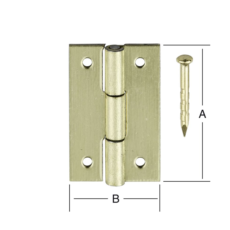 Vormann Schatullenscharniere Vermessingt 15 X 10 Mm Kaufen Globus