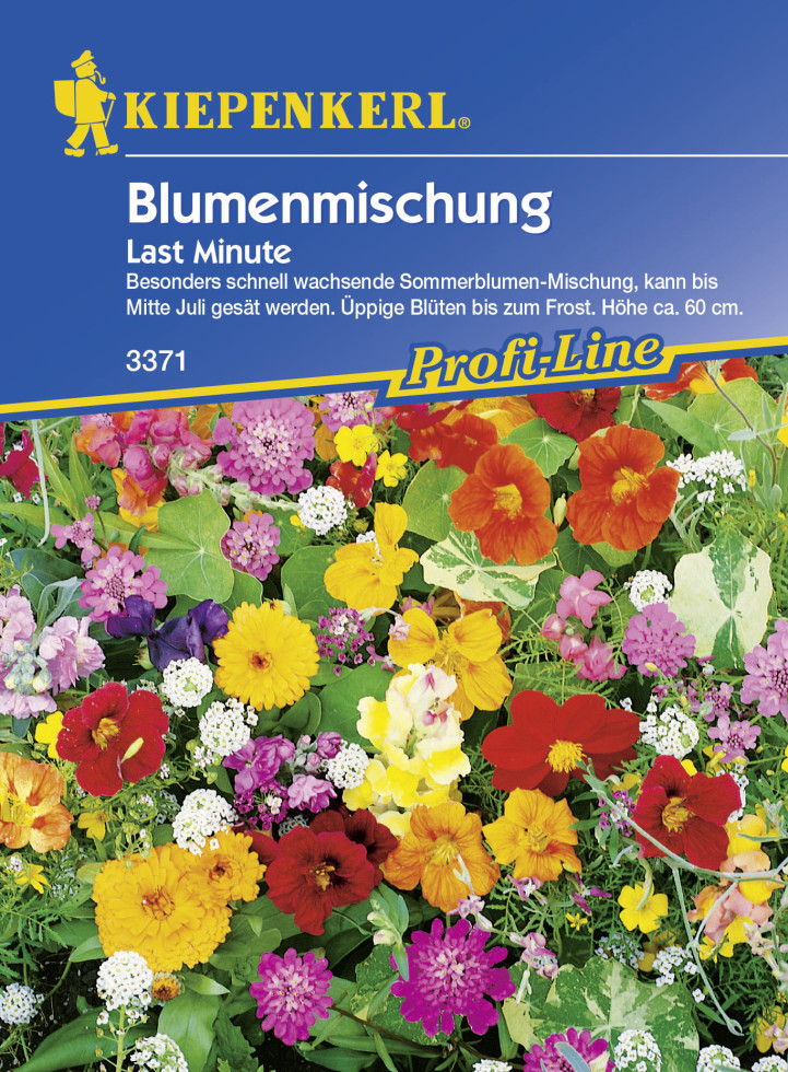 Kiepenkerl Last Minute Blumenmischung Inhalt 4 m² kaufen Globus Baumarkt