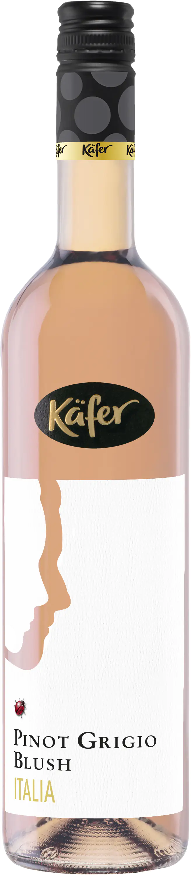 Käfer Rosé Pinot Grigio Blush 0,75 L trocken x Baumarkt 1 Globus kaufen Italien 