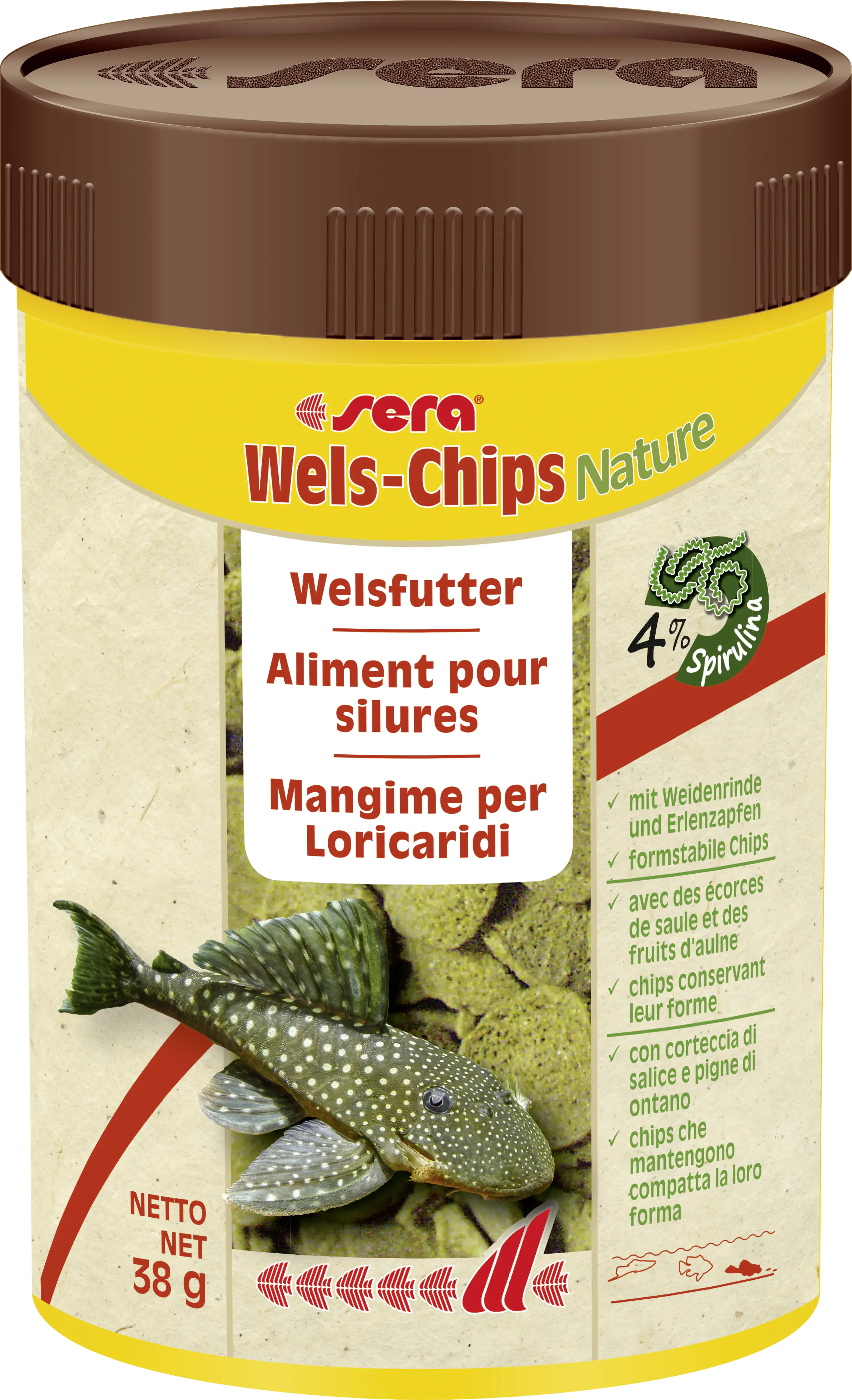 Wels-Chips in Bochum - Bochum-Mitte