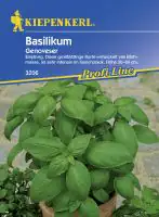 Kiepenkerl Basilikum Genoveser ca. 150 Pflanzen