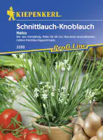 Kiepenkerl Schnittknoblauch Neko Allium tuberosum, Inhalt: ca. 100 Pflanzen