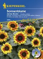 Kiepenkerl Sonnenblume Merida Bicolor Helianthus annuus, Inhalt: 20 Korn