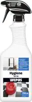 Wepos Hygienespray & Desinfektionsspray Flächendesinfektion 750 ml