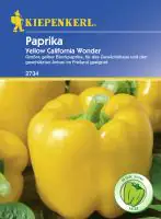 Kiepenkerl Blockpaprika Yellow California Wonder Capsicum annuum, Inhalt: ca. 12 Pflanzen