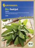 Kiepenkerl Bio-Saatgut Salbei Salvia officinalis, Inhalt: ca. 50 Pflanzen